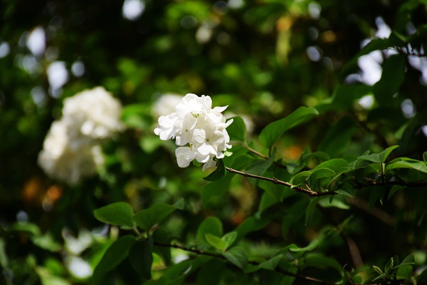 专家解读丨《山东省公共机构节能改造碳普惠方法学》