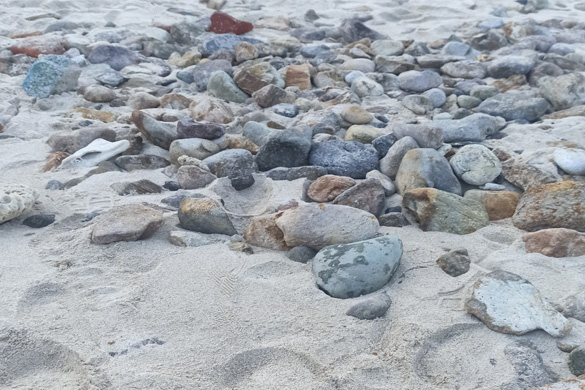 辽源实现县级快递行业党委全覆盖