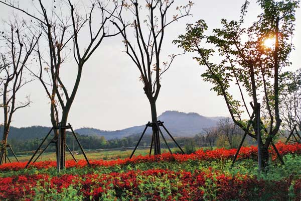 国家邮政局党组召开会议（2025年12月30日）