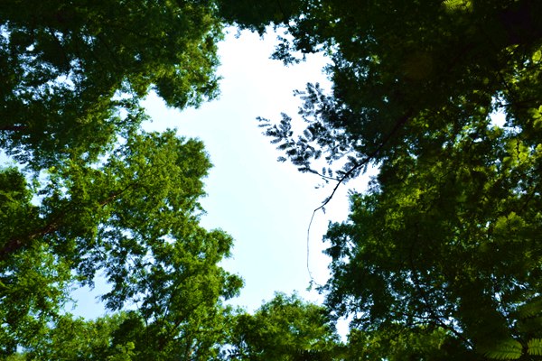 顺丰集团工联会携手四家单位，共建工会合作新格局