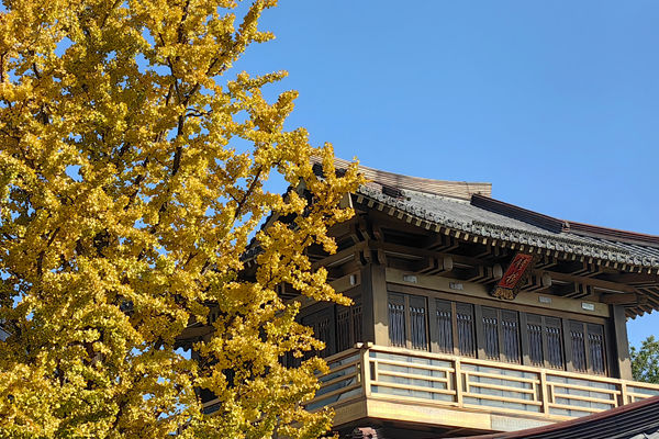 内蒙古局出台农村寄递物流体系线上线下监测工作机制